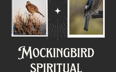 Real Spiritual Meaning of Mockingbirds [UPDATED 2024]